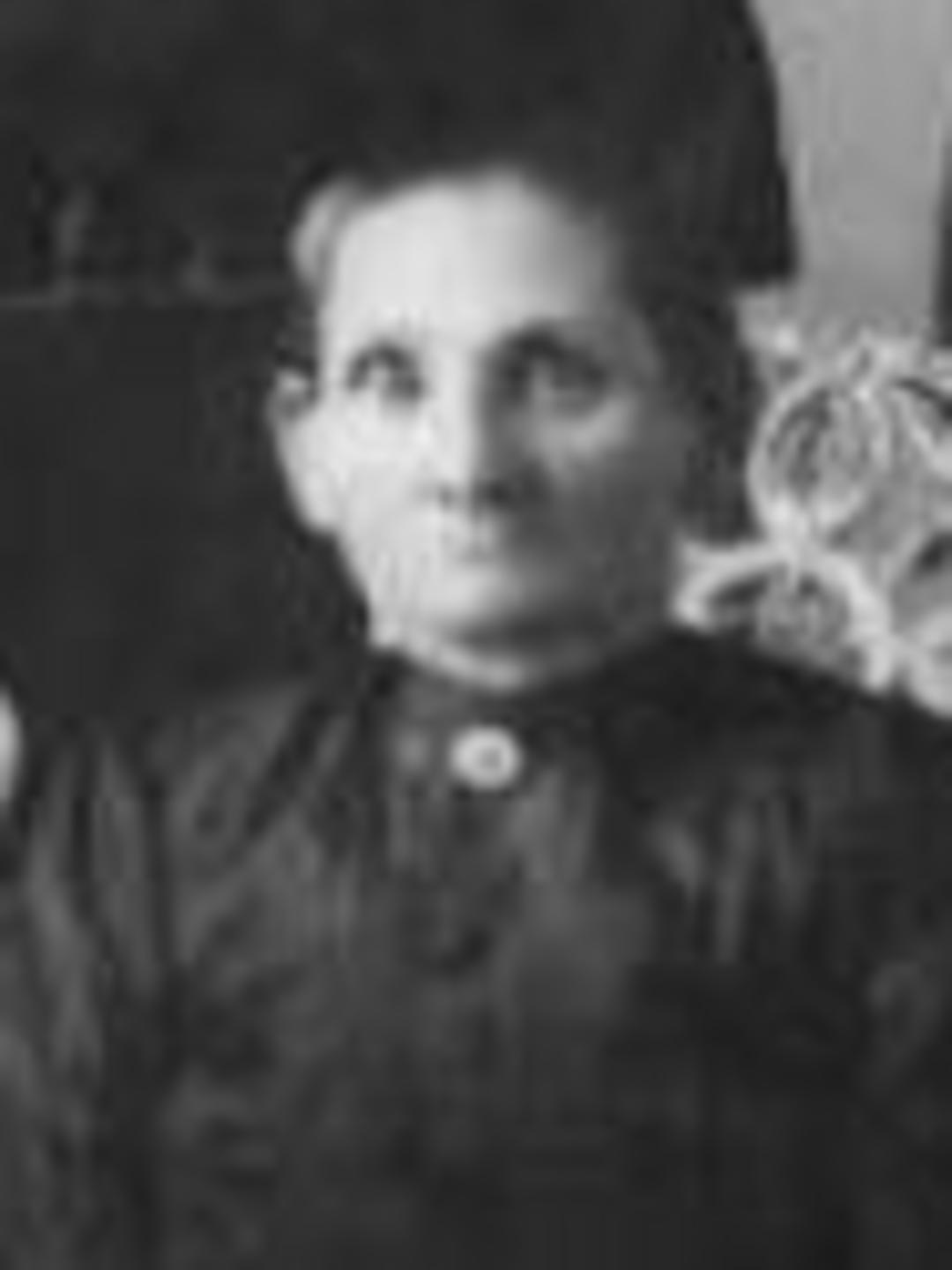 Anna Bonner (1859 - 1942) Profile